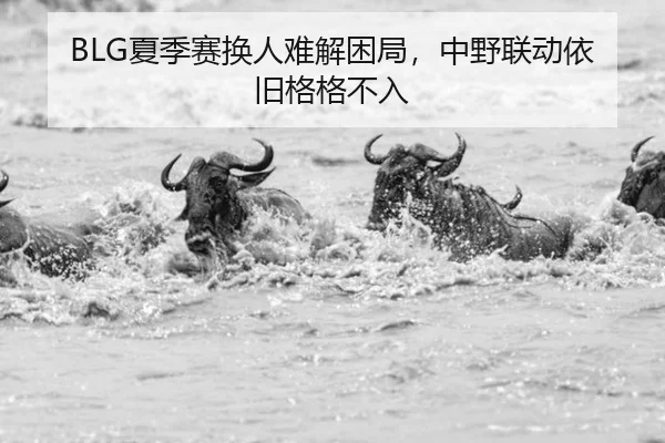 BLG夏季赛换人难解困局，中野联动依旧格格不入