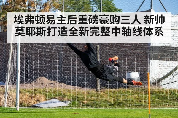 埃弗顿易主后重磅豪购三人 新帅莫耶斯打造全新完整中轴线体系